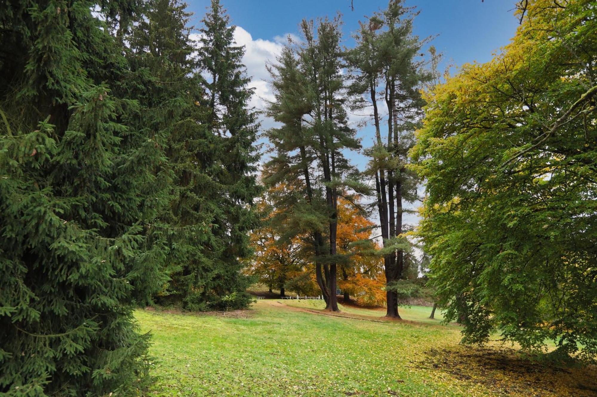 Pension U Golfu Cihelny Карловы Вары Экстерьер фото