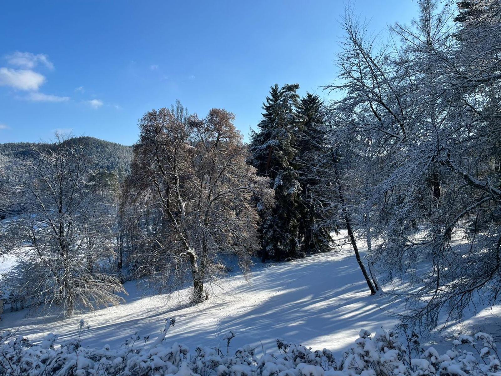 Pension U Golfu Cihelny Карловы Вары Экстерьер фото